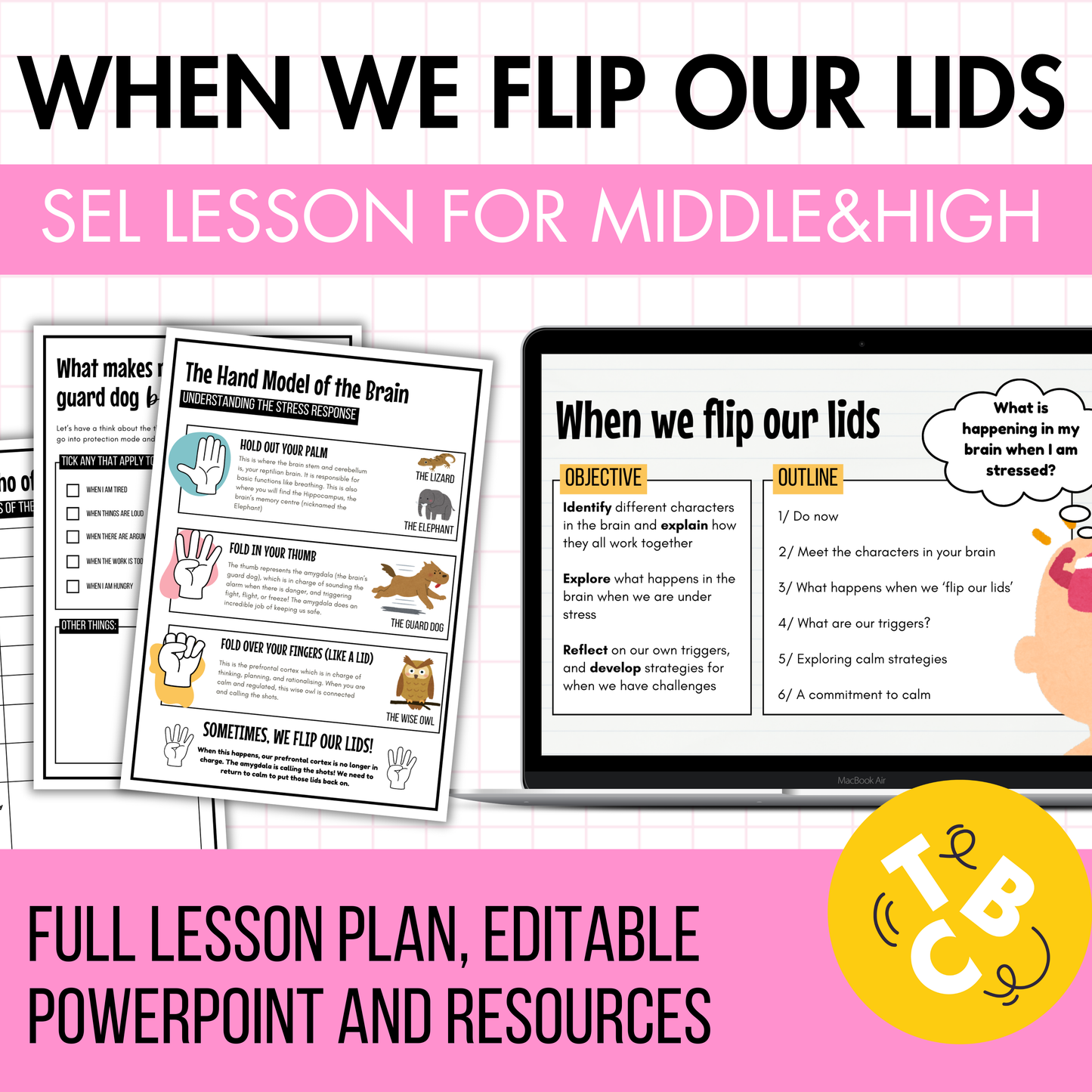 SEL Lesson 'Flipping Your Lid': Supports Emotional Regulation and Behaviour