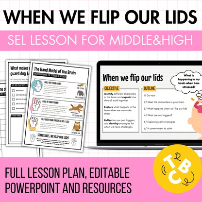 SEL Lesson 'Flipping Your Lid': Supports Emotional Regulation and Behaviour