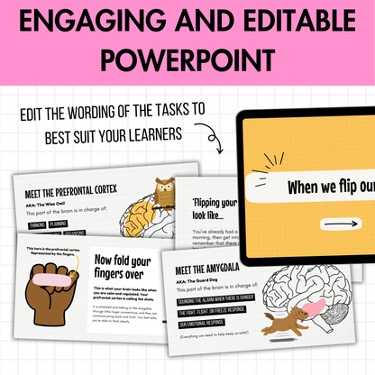 SEL Lesson 'Flipping Your Lid': Supports Emotional Regulation and Behaviour